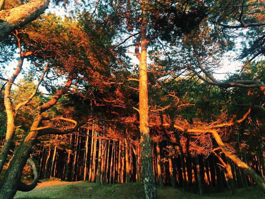 Juros Brizas Apartamento Palanga Exterior foto